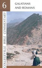 Collegeville Bible Commentary