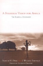 Strategic Vision for Africa