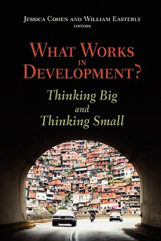 What Works in Development? Thinking Big and Thinking Small