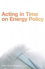 Acting in Time on Energy Policy
