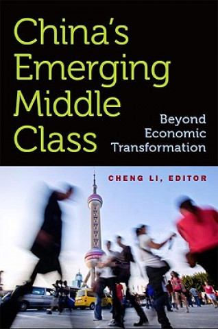 China's Emerging Middle Class