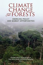 Climate Change and Forests