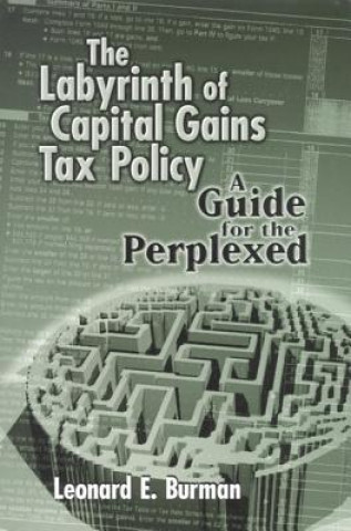 Labyrinth of Capital Tax Policy