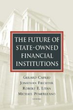Future of State-Owned Financial Institutions