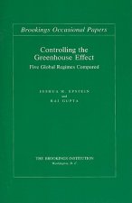Controlling the Greenhouse Effect