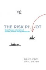 Risk Pivot