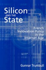 Silicon and the State
