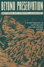 Beyond Preservation