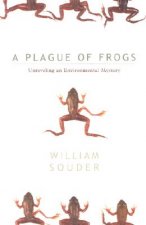 Plague Of Frogs