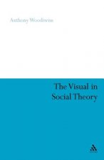 Visual in Social Theory