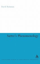 Sartre's Phenomenology