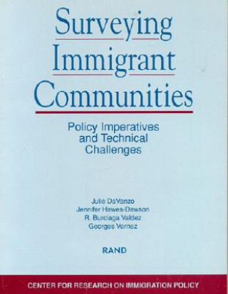 Surveying Immigrant Communities