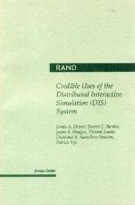 Credible Uses of the Distributed Interactive Simulation (DIS) System