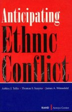 Anticipating Ethnic Conflict