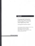 Countywide Evaluation of the Long-term Family Self-sufficiency Plan