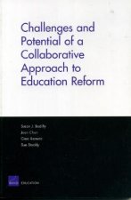 Challenges and Potential of a Collaborative Approach to Education Reform