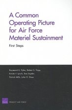 Common Operating Picture for Air Force Materiel Sustainment