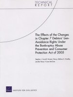 Effects of the Changes in Chapter 7 Debtors' Lien-avoidance Rights Under the Bankruptcy Abuse Prevention and Consumer Protection Act of 2005