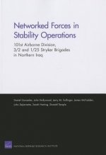 Networked Forces in Stability Operations