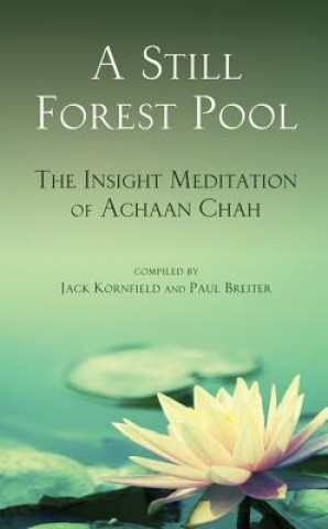 Still Forest Pool