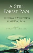 Still Forest Pool