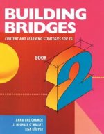 Building Bridges L2