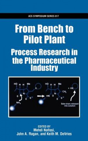From Bench to Pilot Plant