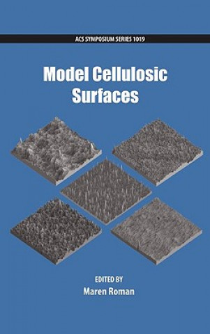 Model Cellulosic Surfaces