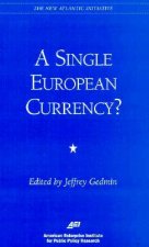 Single European Currency?