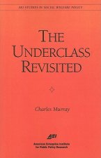 Underclass Revisited