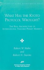 What Has the Kyoto Protocol Wrought?