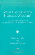 What Has the Kyoto Protocol Wrought?