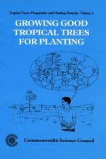 Growing Good Tropical Trees for Planting