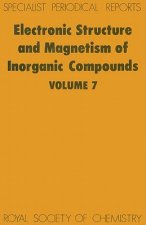Electronic Structure and Magnetism of Inorganic Compounds