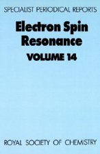 Electron Spin Resonance