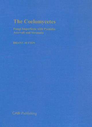 Coelomycetes