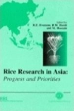 Rice Research in Asia