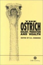 Ostrich