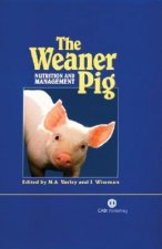 Weaner Pig