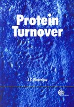 Protein Turnover