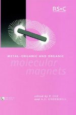 Metal-Organic and Organic Molecular Magnets