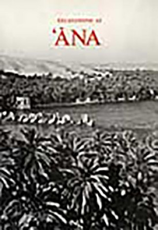 Excavations at Ana