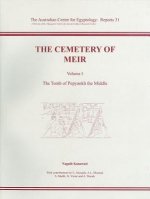 Cemetery of Meir, Volume I