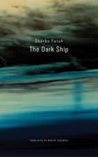 Dark Ship