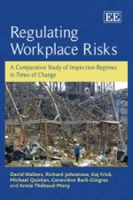 Regulating Workplace Risks - A Comparative Study of Inspection Regimes in Times of Change