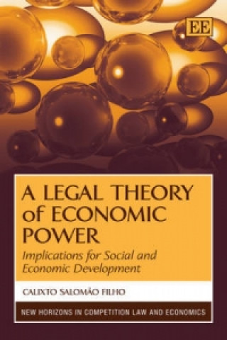 Legal Theory of Economic Power