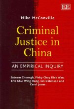 Criminal Justice in China