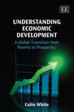 Understanding Economic Development - A Global Transition from Poverty to Prosperity?