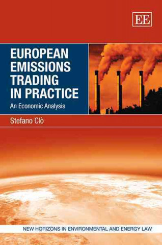 European Emissions Trading in Practice - An Economic Analysis