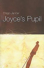 Joyce's Pupil